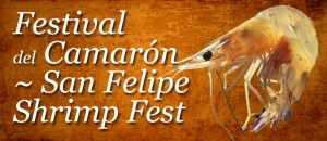 san-felipe-shrimp-festival