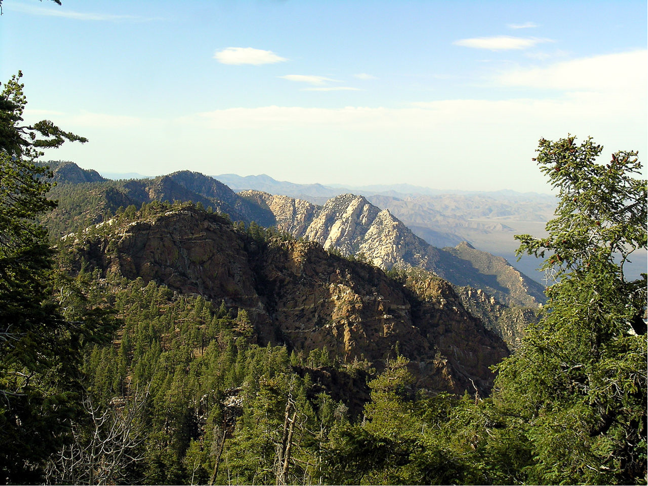 photo_San-Pedro-Martir-National-Park