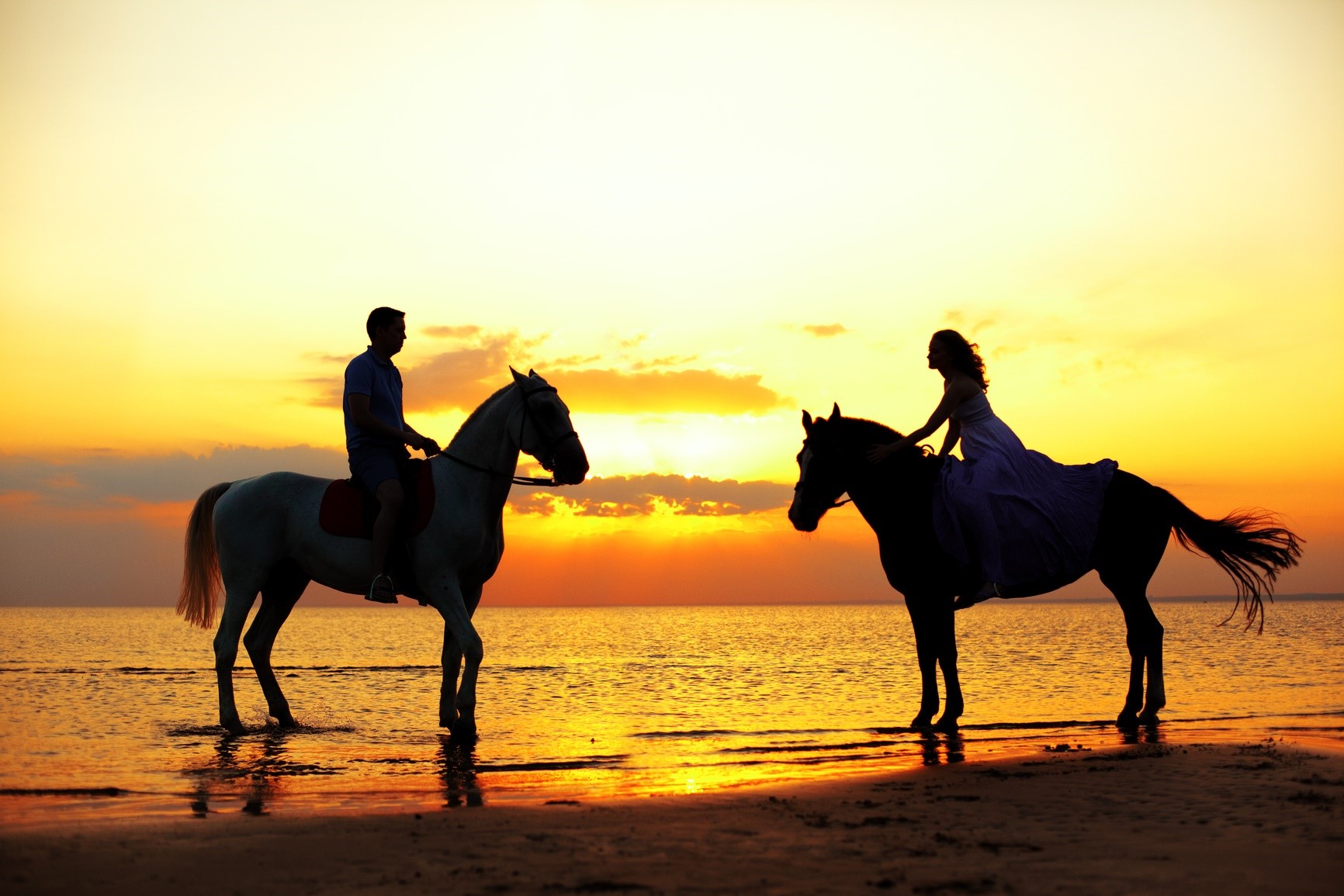 Horseback Riding in Baja, Mexico -Sahuaro Shores