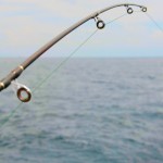 Sport Fishing - Spinning close-up